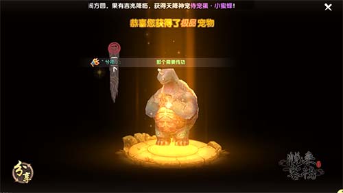 巴基斯坦华人谈当地安全局势